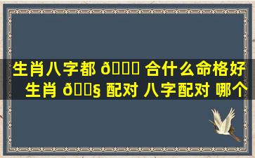 生肖八字都 💐 合什么命格好（生肖 🐧 配对 八字配对 哪个准）